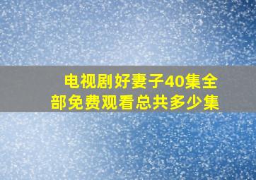 电视剧好妻子40集全部免费观看总共多少集