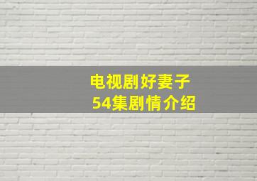 电视剧好妻子54集剧情介绍