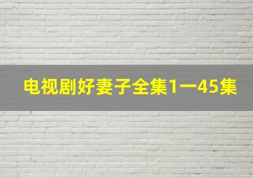 电视剧好妻子全集1一45集