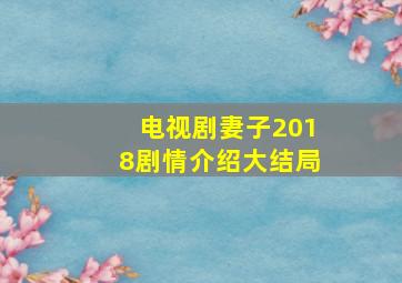 电视剧妻子2018剧情介绍大结局