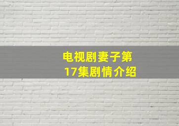 电视剧妻子第17集剧情介绍