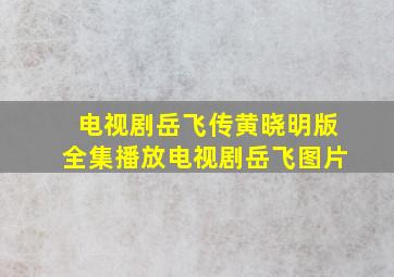 电视剧岳飞传黄晓明版全集播放电视剧岳飞图片