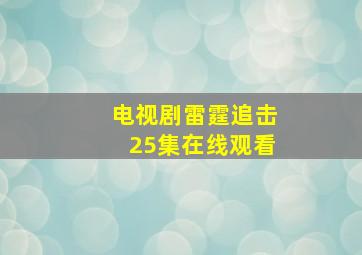 电视剧雷霆追击25集在线观看