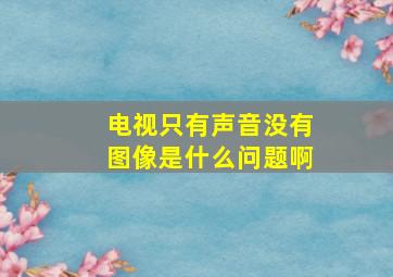 电视只有声音没有图像是什么问题啊