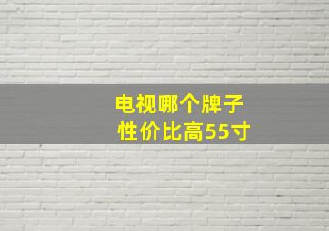 电视哪个牌子性价比高55寸