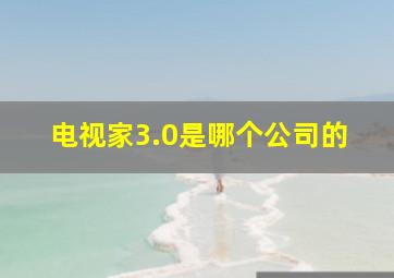 电视家3.0是哪个公司的