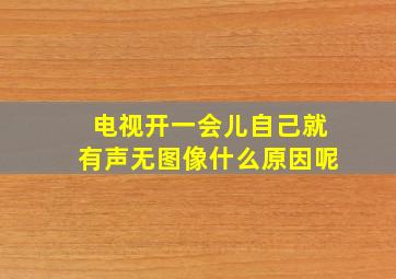 电视开一会儿自己就有声无图像什么原因呢