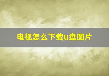 电视怎么下载u盘图片