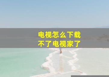 电视怎么下载不了电视家了