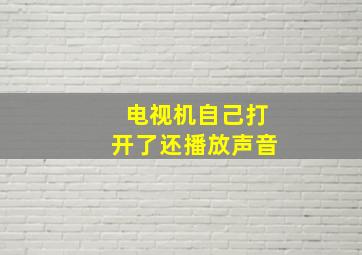 电视机自己打开了还播放声音