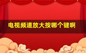 电视频道放大按哪个键啊