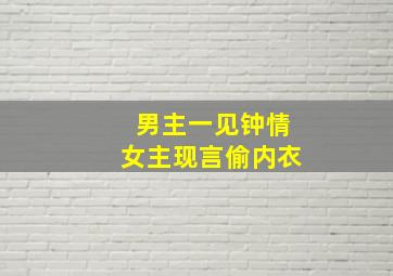 男主一见钟情女主现言偷内衣