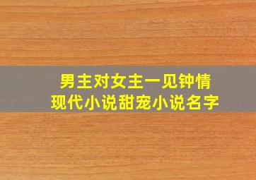 男主对女主一见钟情现代小说甜宠小说名字