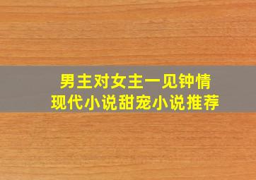 男主对女主一见钟情现代小说甜宠小说推荐