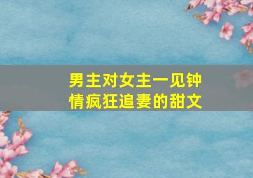 男主对女主一见钟情疯狂追妻的甜文