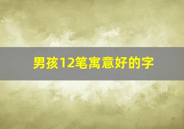 男孩12笔寓意好的字