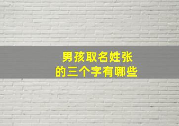 男孩取名姓张的三个字有哪些