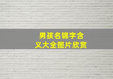 男孩名锦字含义大全图片欣赏