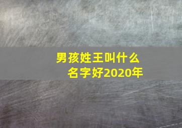 男孩姓王叫什么名字好2020年