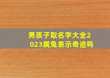 男孩子取名字大全2023属兔表示奇迹吗