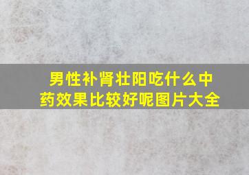 男性补肾壮阳吃什么中药效果比较好呢图片大全