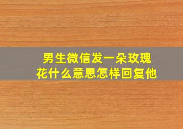 男生微信发一朵玫瑰花什么意思怎样回复他