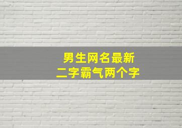 男生网名最新二字霸气两个字