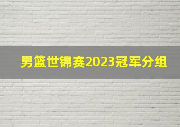 男篮世锦赛2023冠军分组