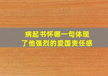 病起书怀哪一句体现了他强烈的爱国责任感