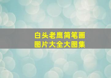 白头老鹰简笔画图片大全大图集