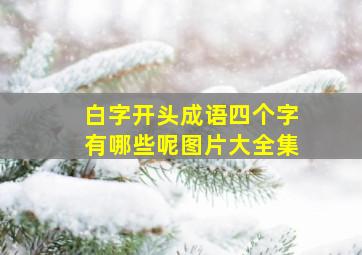 白字开头成语四个字有哪些呢图片大全集