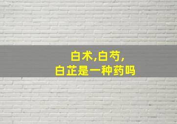 白术,白芍,白芷是一种药吗