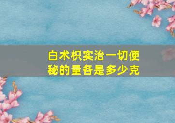 白术枳实治一切便秘的量各是多少克