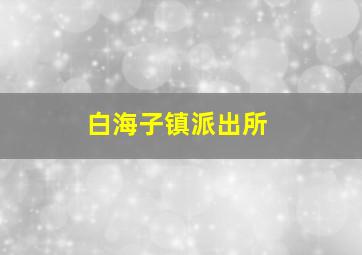 白海子镇派出所