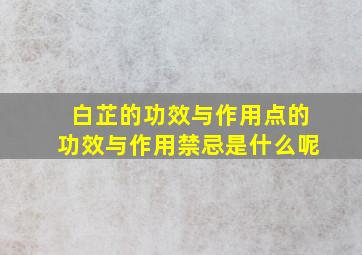 白芷的功效与作用点的功效与作用禁忌是什么呢