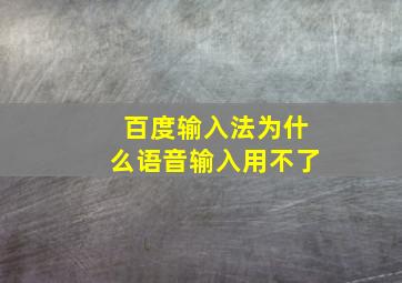 百度输入法为什么语音输入用不了