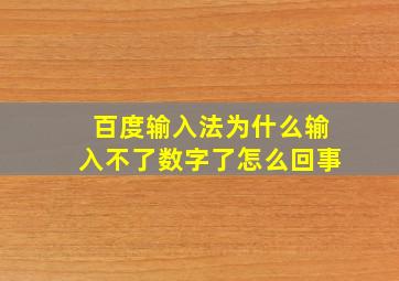 百度输入法为什么输入不了数字了怎么回事