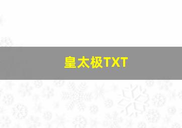 皇太极TXT