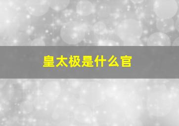 皇太极是什么官