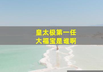 皇太极第一任大福宝是谁啊