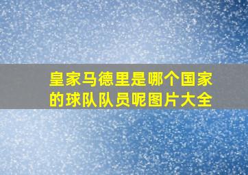 皇家马德里是哪个国家的球队队员呢图片大全