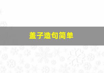 盖子造句简单