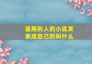 盗用别人的小说发表成自己的叫什么