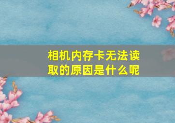 相机内存卡无法读取的原因是什么呢