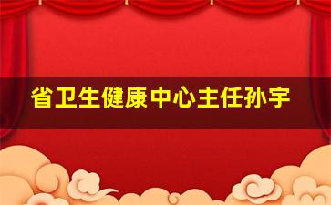 省卫生健康中心主任孙宇