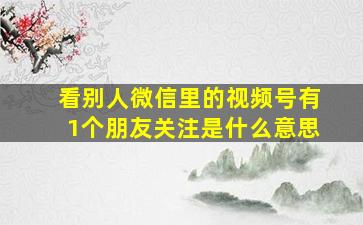 看别人微信里的视频号有1个朋友关注是什么意思