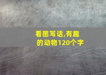 看图写话,有趣的动物120个字