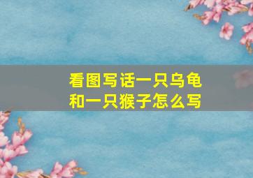 看图写话一只乌龟和一只猴子怎么写