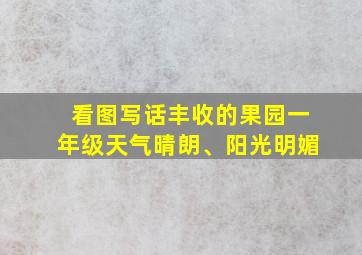 看图写话丰收的果园一年级天气晴朗、阳光明媚