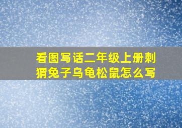 看图写话二年级上册刺猬兔子乌龟松鼠怎么写